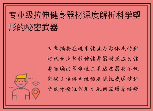 专业级拉伸健身器材深度解析科学塑形的秘密武器